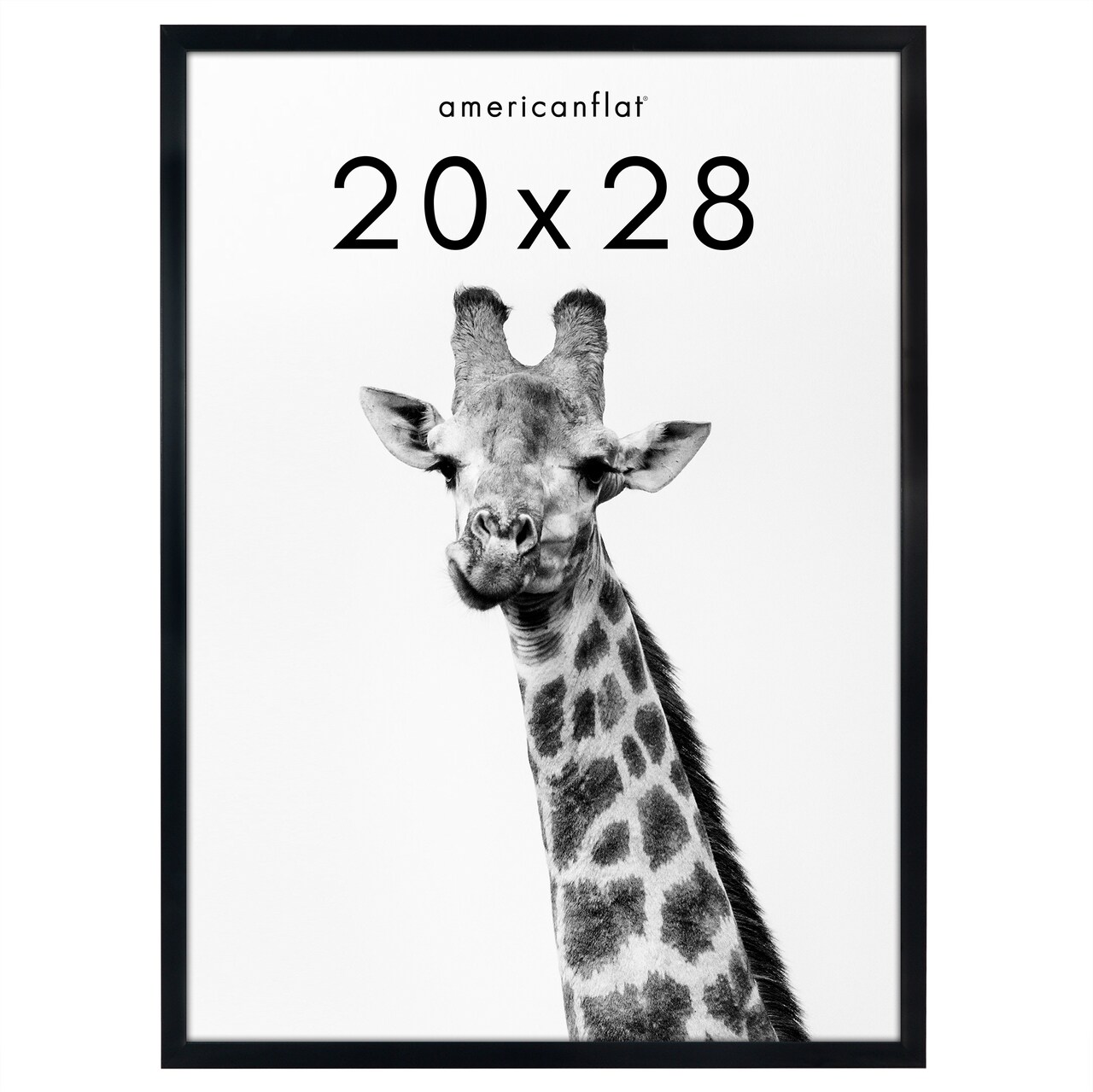 Americanflat Gallery-Style Picture Frame - Ideal Frame for Gallery Wall Display - Showcase Artwork, Prints, and Photos - Shatter Resistant Glass - Hanging Hardware with Drywall Anchor